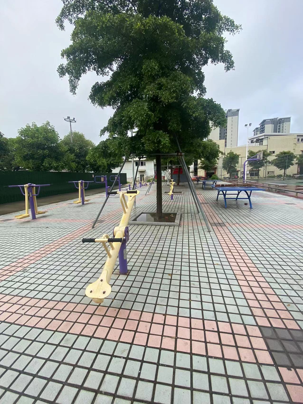 板芙镇白溪村体育公园硅PU球场项目